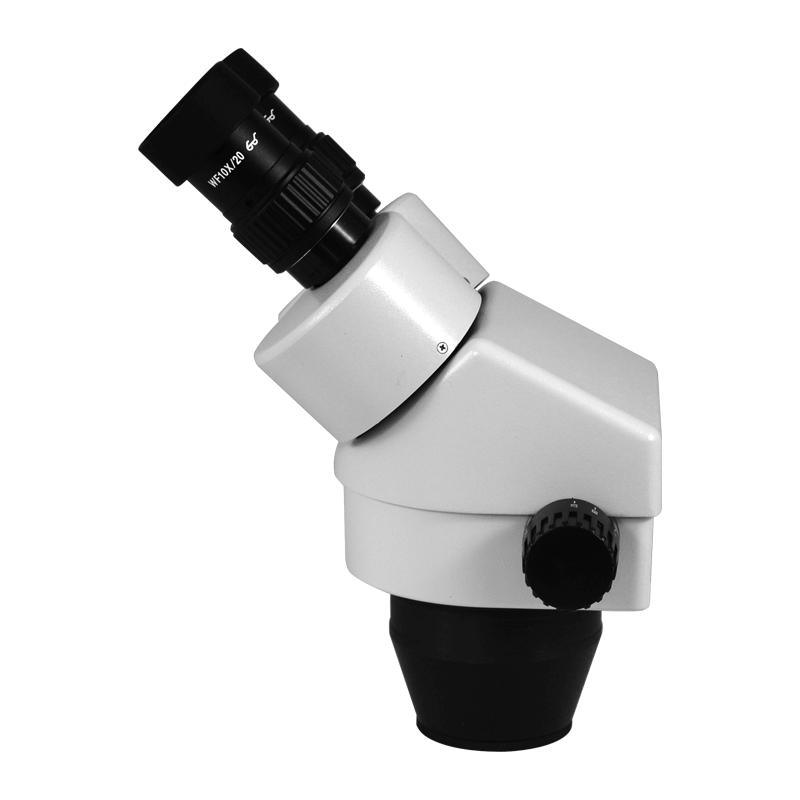Microscope Body